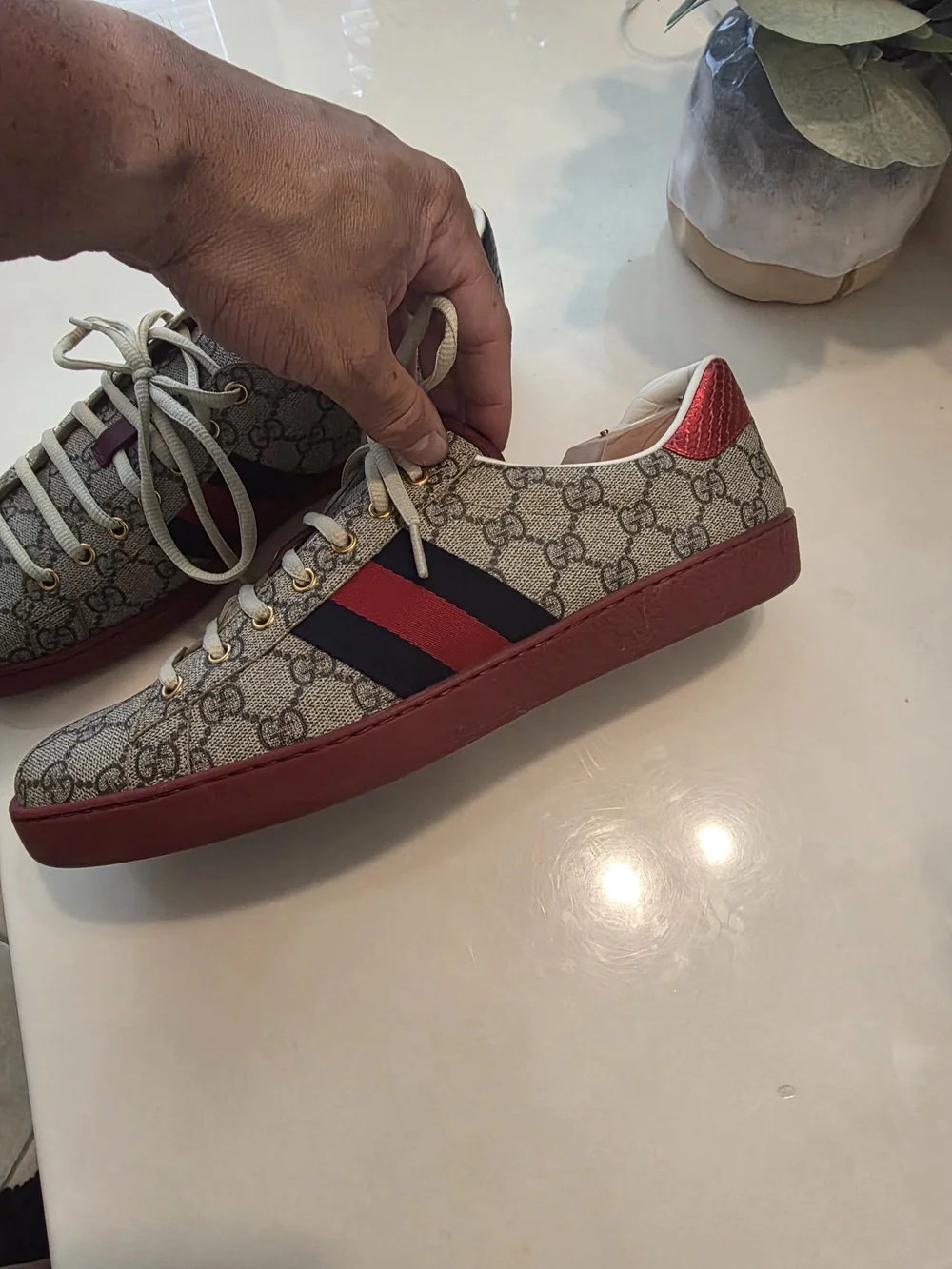 Gucci Kids GG Supreme Sneakers with Red & Blue Accents